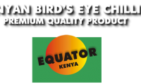 Equator-Kenya-logo